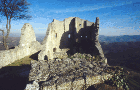 matilde di canossa